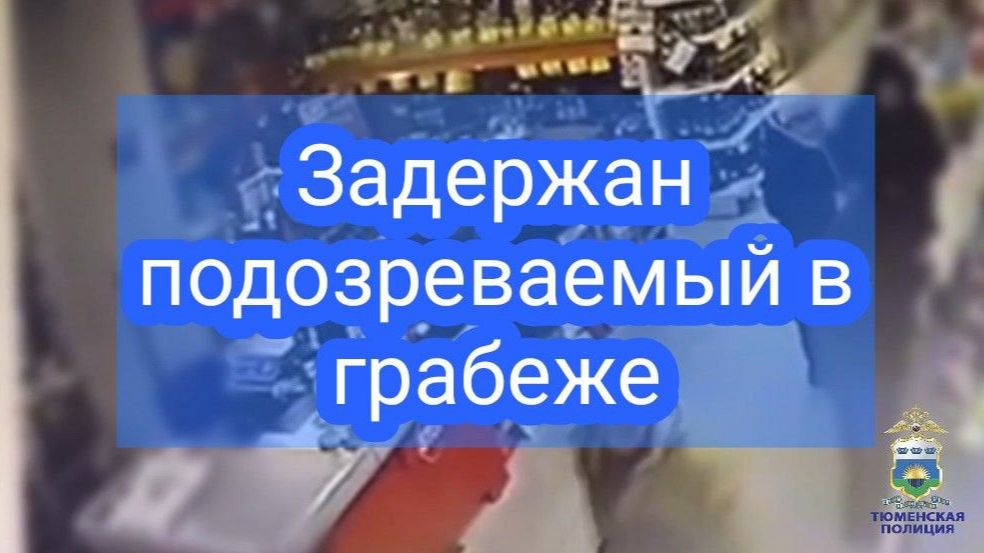Участковый уполномоченный в Заводоуковске задержал подозреваемого в грабеже смотреть онлайн