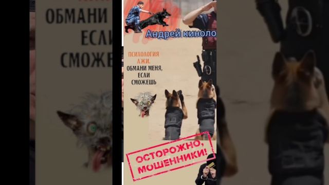 В смысле ? Тесла зависла. смотреть онлайн