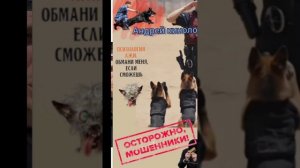 В смысле ? Тесла зависла.