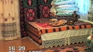 ПРаздник гусей в детском саду №5 с. Иглино 1995 год