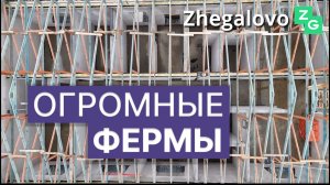 Стропильная система для двухскатной кровли монтаж в Щелково