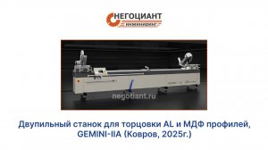 Двупильный станок для торцовки AL и МДФ профилей, GEMINI-IIA (Ковров, 2025г.)