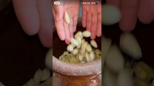 «Бяози» — Серия 3 / Asia By Sun