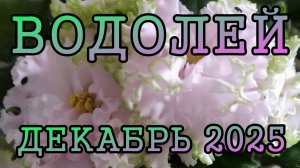 ВОДОЛЕЙ таро прогноз на ДЕКАБРЬ 2025 года.
