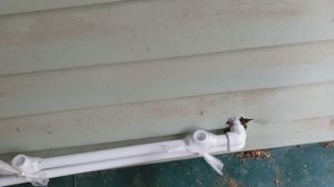 В сан узел начал проводить воду и отопление .