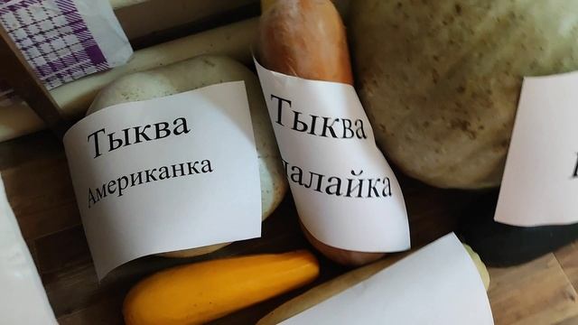 На даче обновки. ПроДачу.