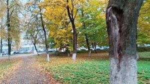 #а осень по своему красива