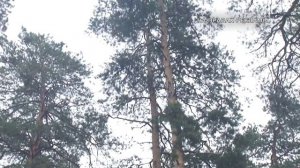 Как восстановить свои силы и поправить здоровье в период осенней хандры