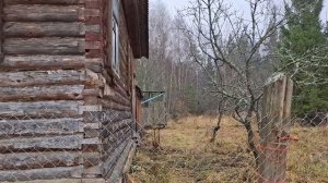 Вид на дом и участок с улицы. середина ноября 2025