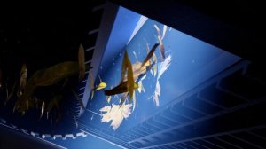 Робот-пылесос Bugatti от SolMar