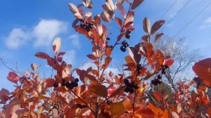 Не грустите .Дорога на дачу .Красноярск