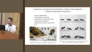 М.И.Межерицкий. Моноамины и насекомые: от интеграции до агрегации