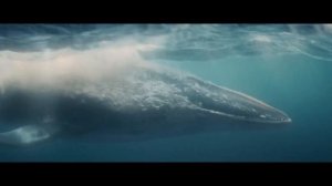 Первый тизер киноадаптации "Моаны" (дубляж)2025

Главную роль исполнила Кэтрин Лага'айя,