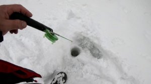 Хариус играет в прятки.Или как нам не везет.