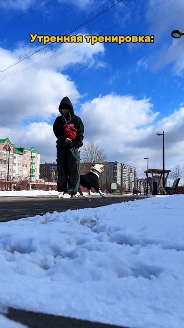 Утренняя тренировка. смотреть онлайн