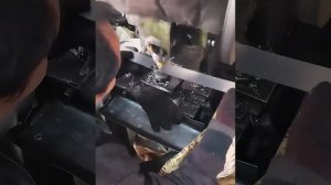 китайцы в деле