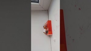 лпс школа школа для богатых ( серия 6) ( сезон 1)