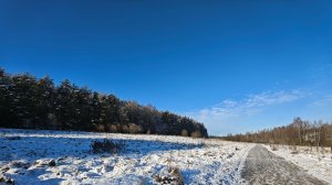 Ноябрьская прогулка