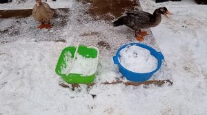 Дом у озера. Зима началась. 17 ноября 2025 года.