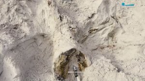 Находка века. Палеонтологи Петербурга обнаружили фрагмент дерева возрастом более 300 млн лет