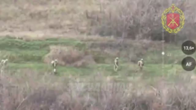 Группа украинских нацистов попала в засаду и была уничтожена