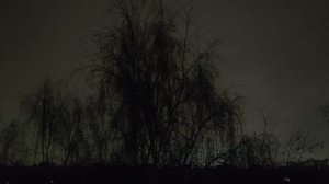 магическое 🧙 дождливое ☔ утро 18 ноября прогноз от волшебника 🧙 Ивана Кулебякина.