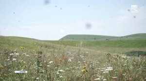 В Черкесске прошел региональный форум для пчеловодов «АпиКавказ»