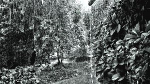 Затяжной дождь