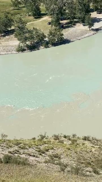 Слияние Чуи и Катуни смотреть онлайн