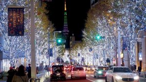 Япония. Путешествуем по рождественскому Токио.