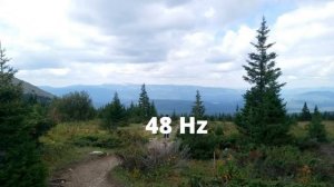 Регуляция Кровяного (Артериального) Давления Частотой Райфа  48 Гц