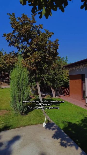 Видео от МОНС 4 COTTAGE