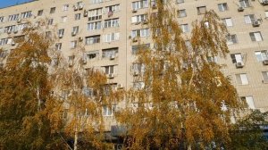 12=11=2025  ПВН  (13)