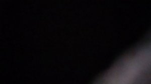 Гранитный камушек