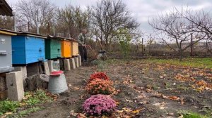 Наши 28 соток на Юге | Место для вдохновения и сил