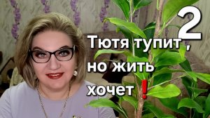 Тютя тупит, но жить хочет❗️