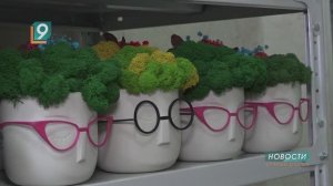 Мохнатое творчество: оскольчанка создает оригинальные предметы интерьера из мха