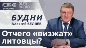 🔴 Зеленский задумал побег? Отчего визжат литовцы? Что предложила Беларусь Ростовской области