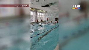 Межмуниципальный турнир по плаванию: ветераны спорта показали класс в Краснообске