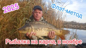Карп в ноябре: думал пусто… а тут ПАРОВОЗ за паровозом! Проверил точку — и офигел!