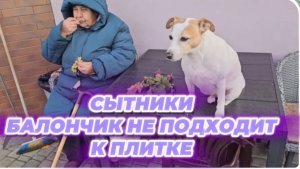 САМВЕЛ АДАМЯН, СЫТНИКИ, БАЛОНЧИК НЕ ПОДХОДИТ К ПЛИТКЕ..