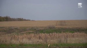 Прогулки по городу Че. Марина Борлакова