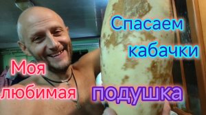 Домашний ВЛОГ/Наше СВАДЕБНОЕ фото/Волшебная ПОДУШКА, где покупали/Пеку ПИРОГ