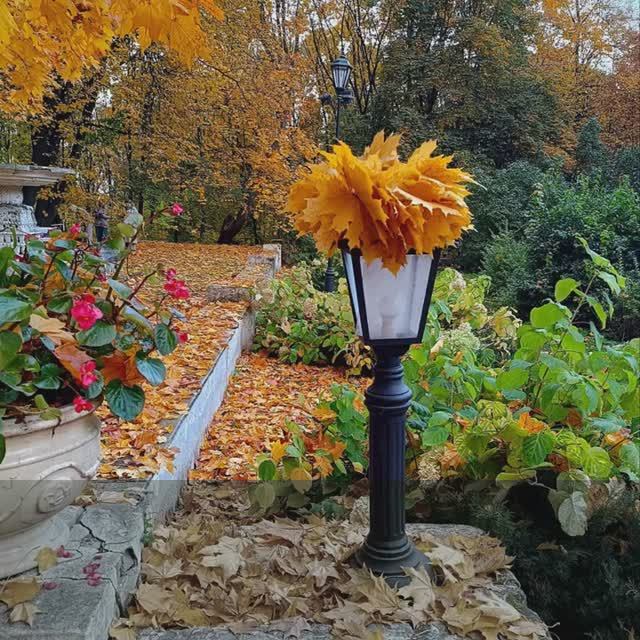 Останься радостью в судьбе смотреть онлайн