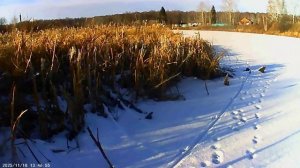 Очередная семейная прогулка.....