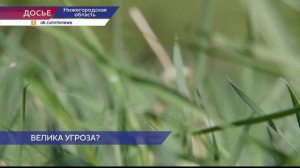 В региональном парламенте обсудили работу по обводнению торфяных месторождений