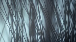 15 лет "Творческие проекты Кайкино"