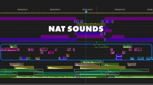 42 Timeline Organization for Audio
