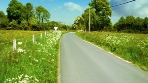 Torpedo Minuscule 80 Compilation