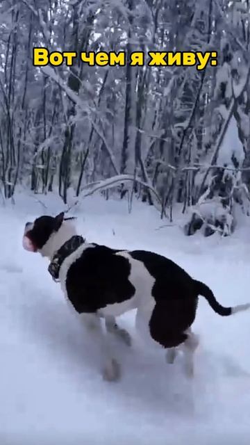 Моя вселенная. смотреть онлайн